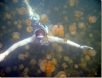 Kayaking Day 3: Jellyfish Lake | DC Rainmaker