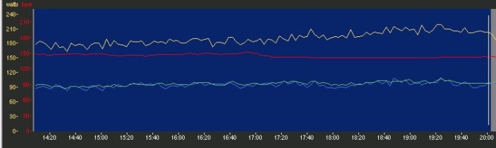 Oct4Profile