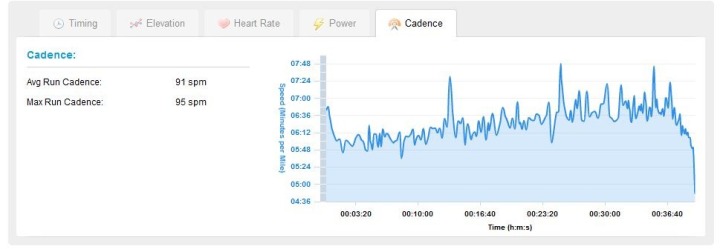 Garmin 310XT on Garmin Connect Run Cadence