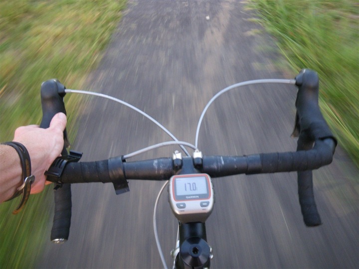 Garmin 310XT on bike - large display