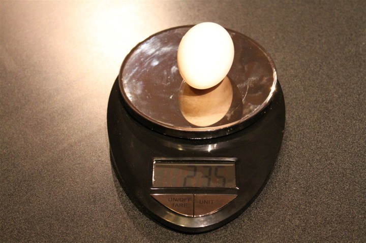 Egg weight on scale