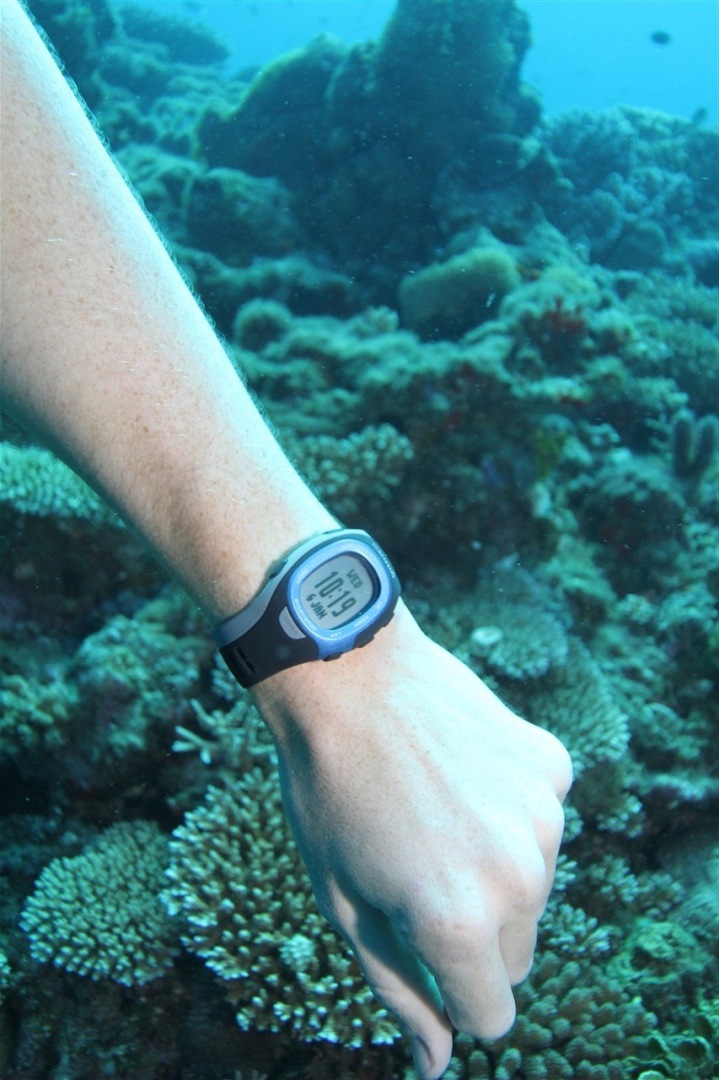Garmin FR-60 while scuba diving