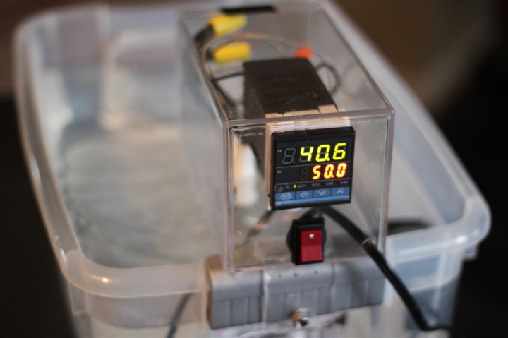 Machine sous vide online action