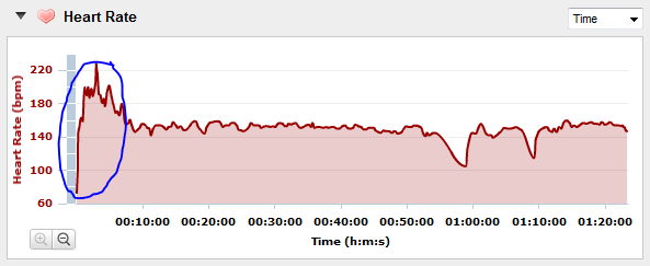 Heart Rate Monitor Graph Spikes