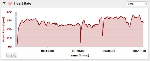 garmin forerunner 110 hr