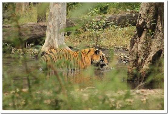 India Part II: Crouching Tiger | DC Rainmaker