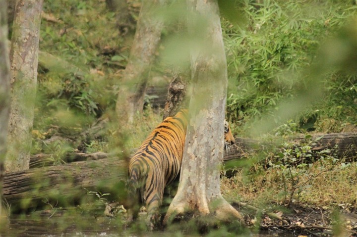 India Part II: Crouching Tiger | DC Rainmaker