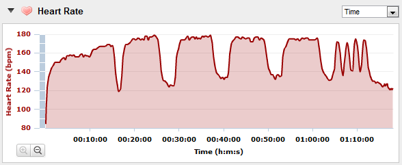 garmin forerunner 210 heart rate monitor