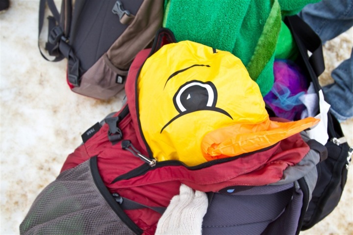 The 2011 Polar Bear Plunge…with a duck. | DC Rainmaker