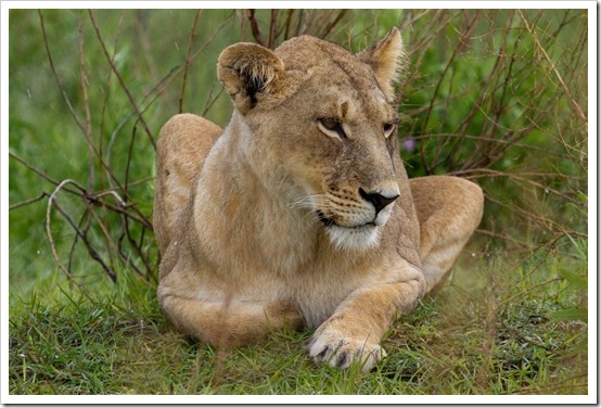 Three days in Botswana’s Okavango River Delta | DC Rainmaker