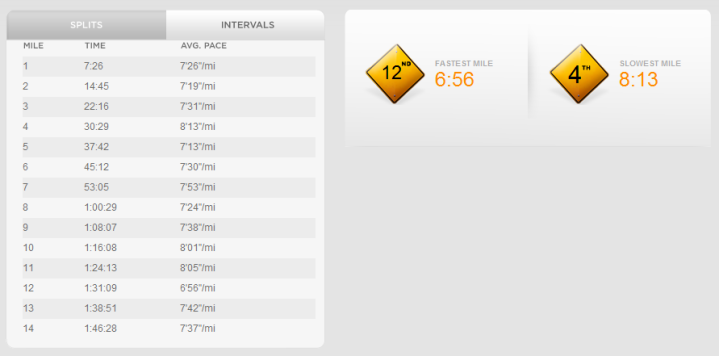 Nike+ GPS Website Run Review Lap/Splits