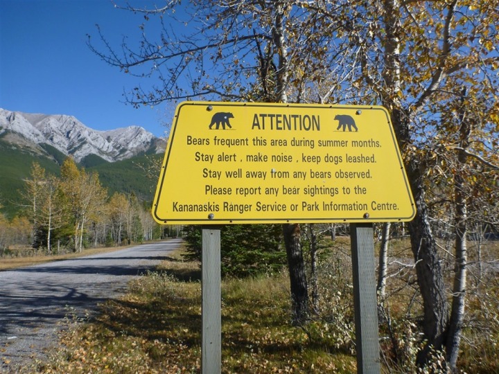 kananaskis biking trails