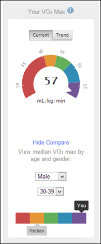 Garmin Connect Dashboard VO2Max