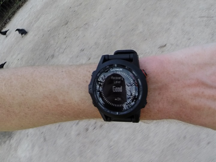 Garmin Fenix2 Recovery Level