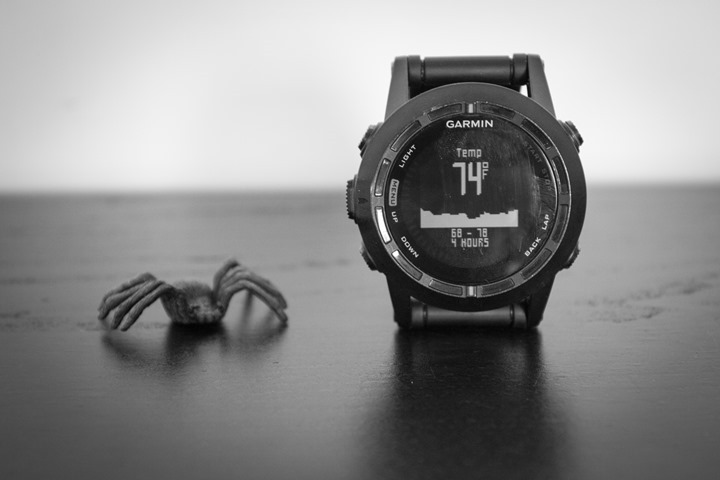 Garmin Fenix2 Bugs