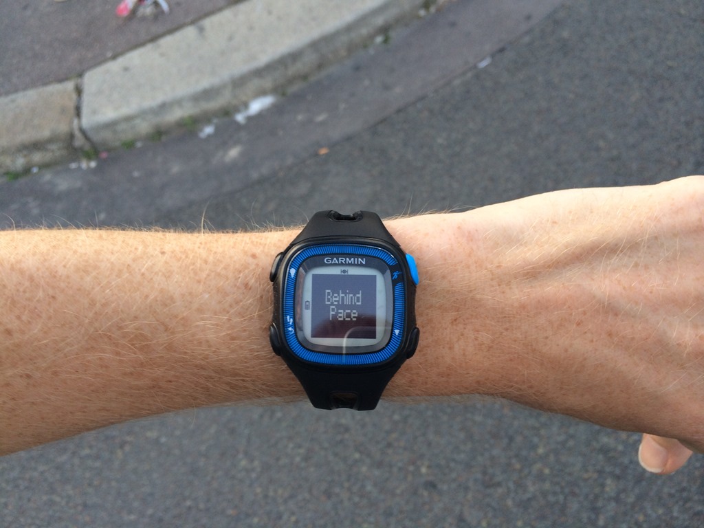 Garmin Forerunner 15 GPS Watch & Daily Activity Monitor In-Depth Review
