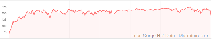 Fitbit-Surge-HR-Data-Accuracy-Dataset3