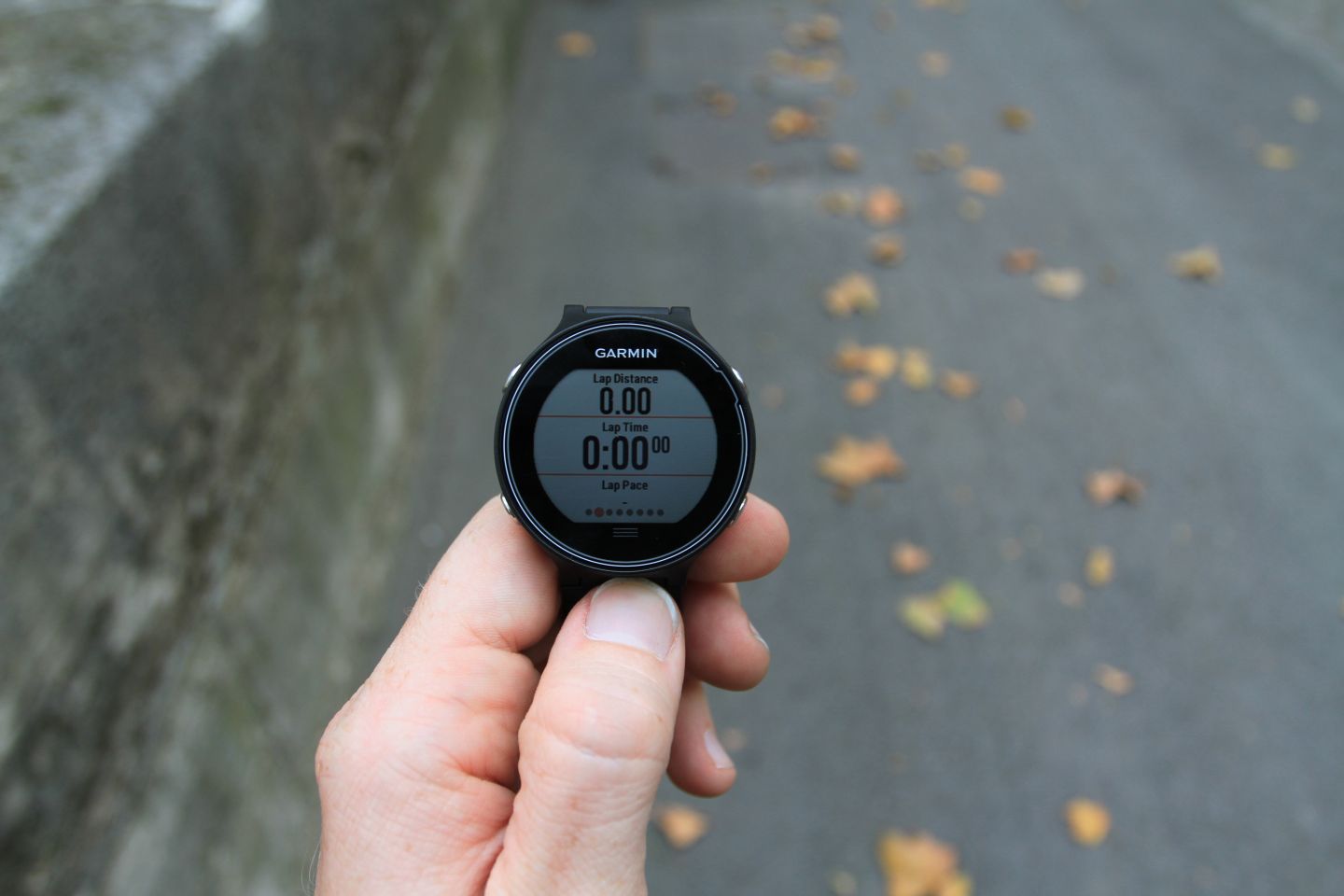 garmin forerunner 235 step counter screen