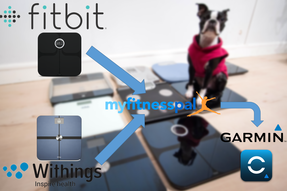 The Weight Guru Bluetooth Smart Scale Syncs With Fitbit and Tracks Your  Fitness Goals — Here's How It Works