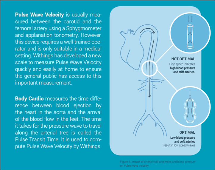 Withings Body Cardio review: Locking down my fitness goals