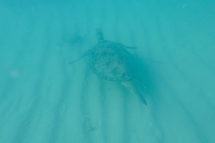 DCIM\101GOPRO\GOPR1182.JPG