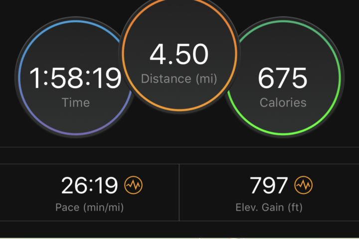 garmin instinct abc widget