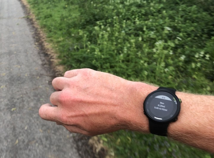 Forerunner 45s review best sale