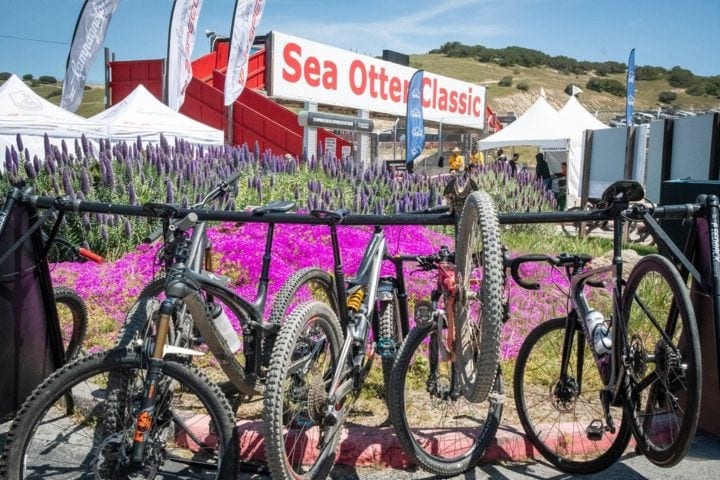 garmin mtb classic 2019