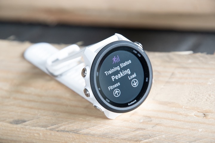 Garmin Forerunner 245 Review: Running watch love, smartwatch bleh 