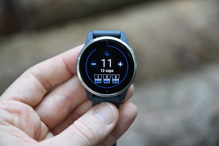 Garmin Venu with AMOLED Display: Everything You Ever Wanted to