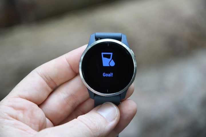 Garmin Venu with AMOLED Display 