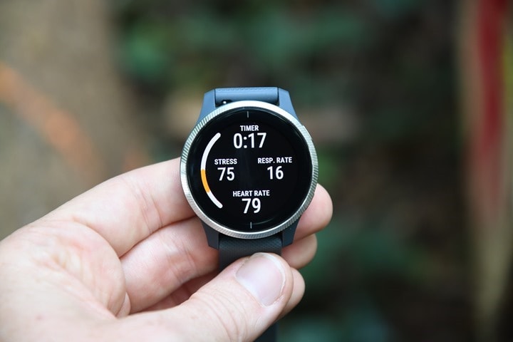 Garmin Venu Review: A Great Balance of Sport and Everyday