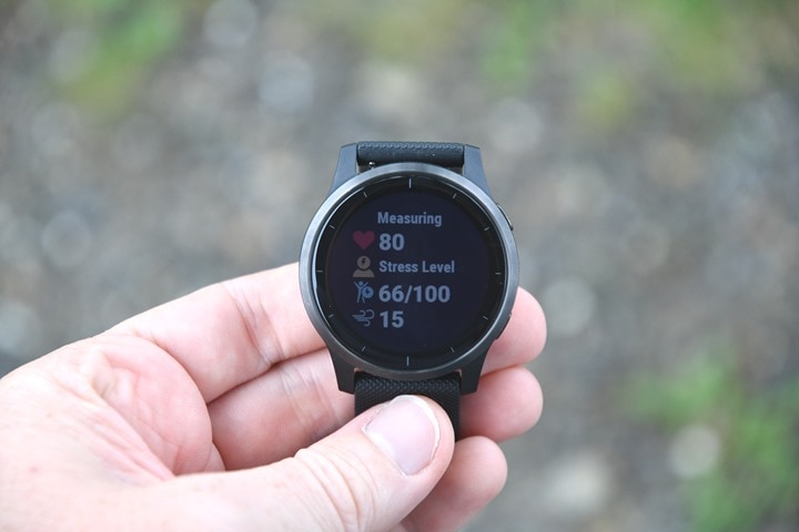 Garmin vivoactive 4 online with music