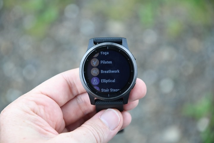 Garmin vivoactive 4 discount map