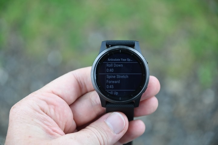 Garmin vivoactive 4 discount vs garmin forerunner 45