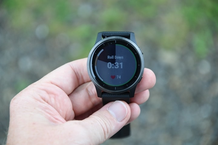 Garmin Vivoactive 4 - REVIEW