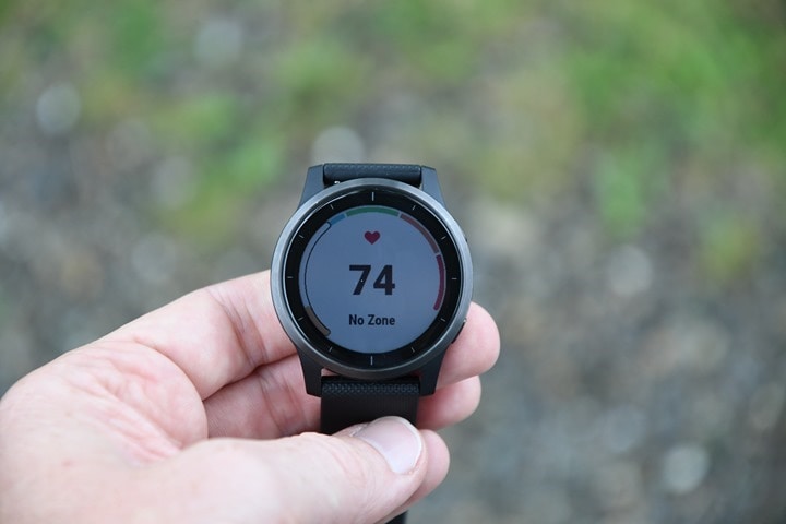 Vivoactive 4 online diameter