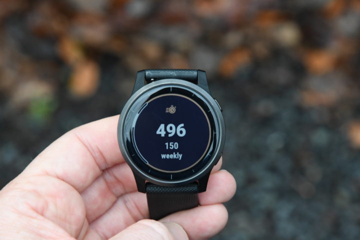 dwmap vivoactive 4