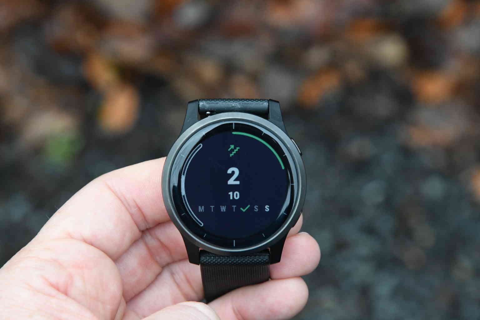 garmin vivoactive widgets