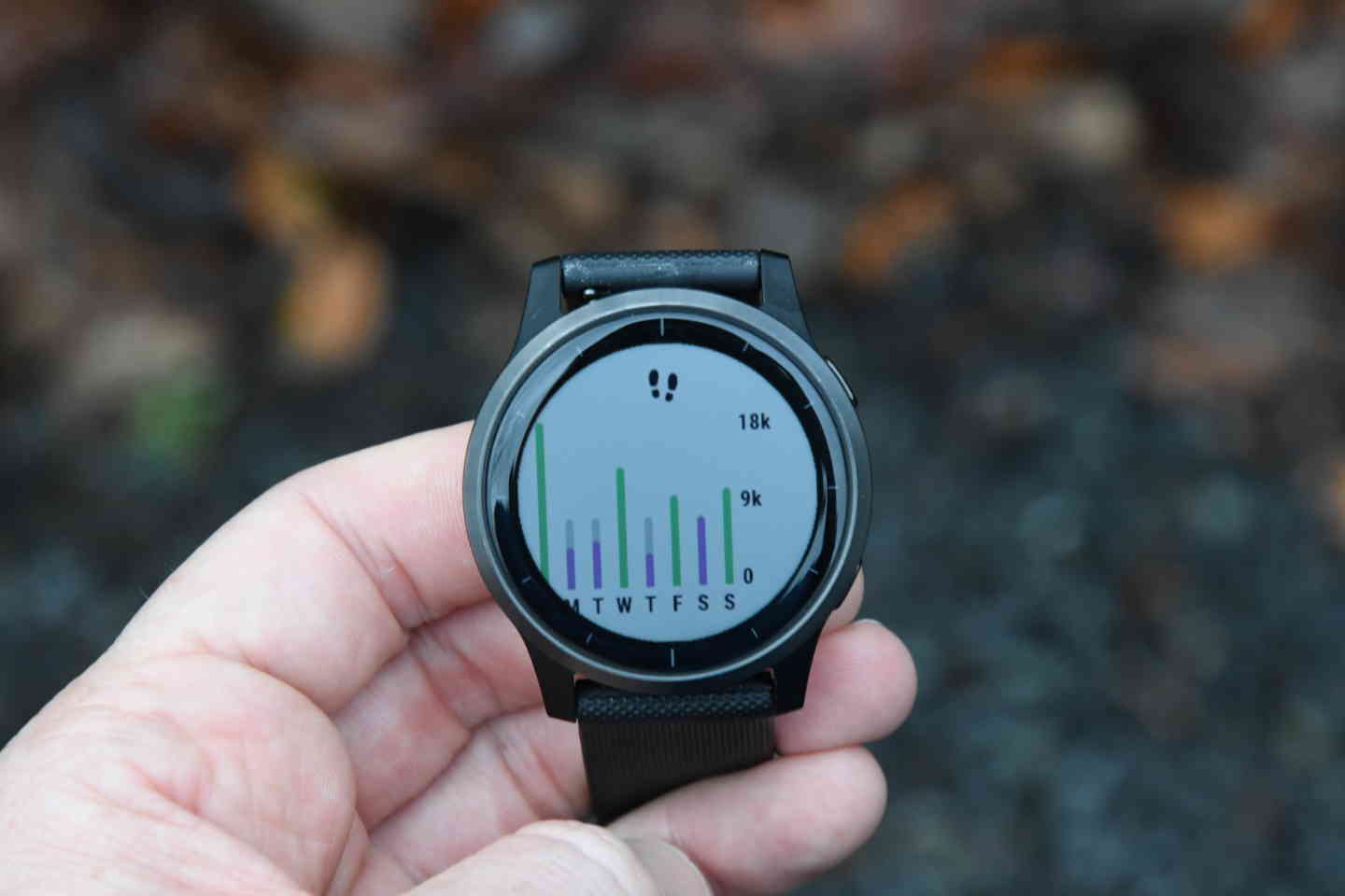 vivoactive 4 widgets