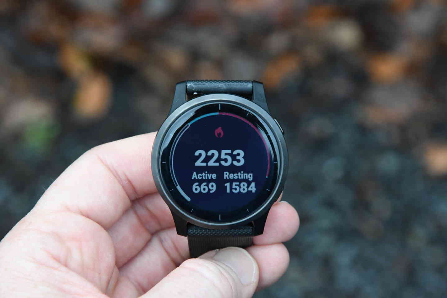 garmin vivoactive widgets