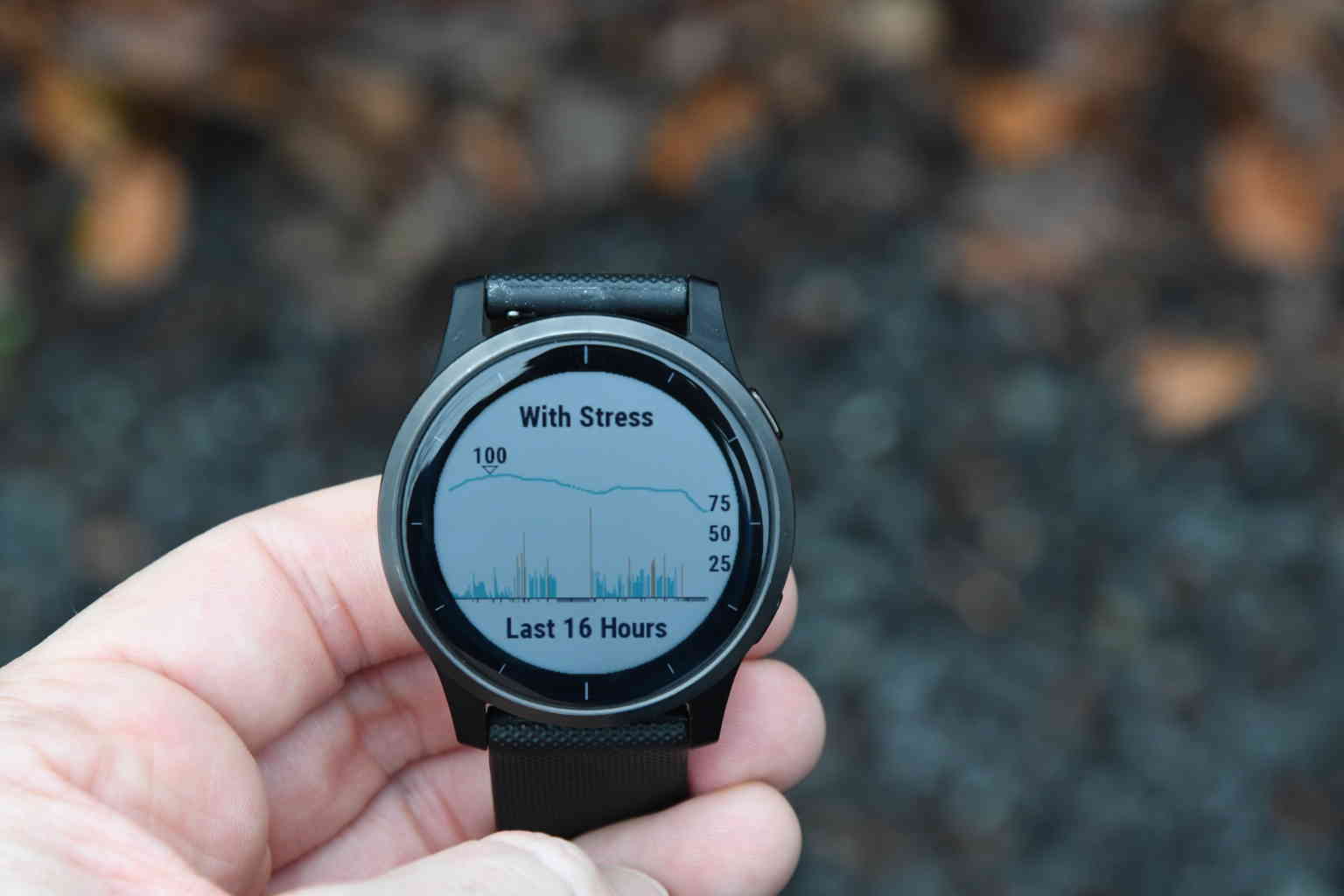 garmin vivoactive widgets