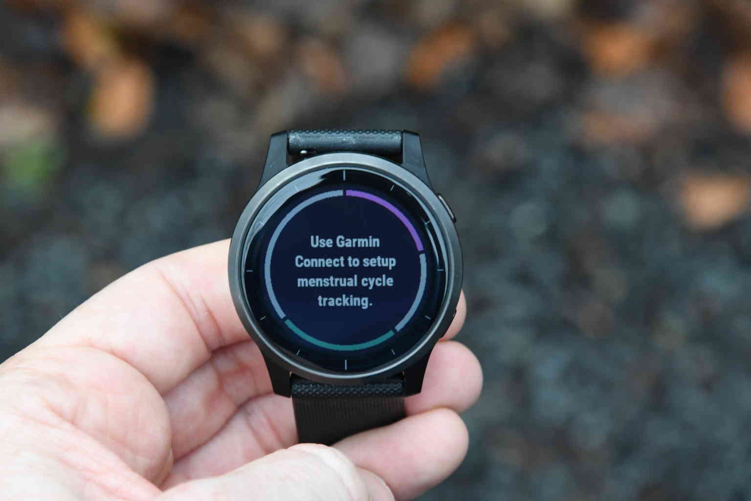 vivoactive 4 widgets