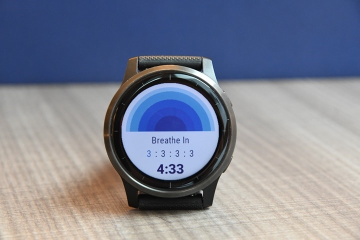 Garmin Vivoactive 4 Review