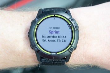 Garmin enduro vs fenix 6x online pro