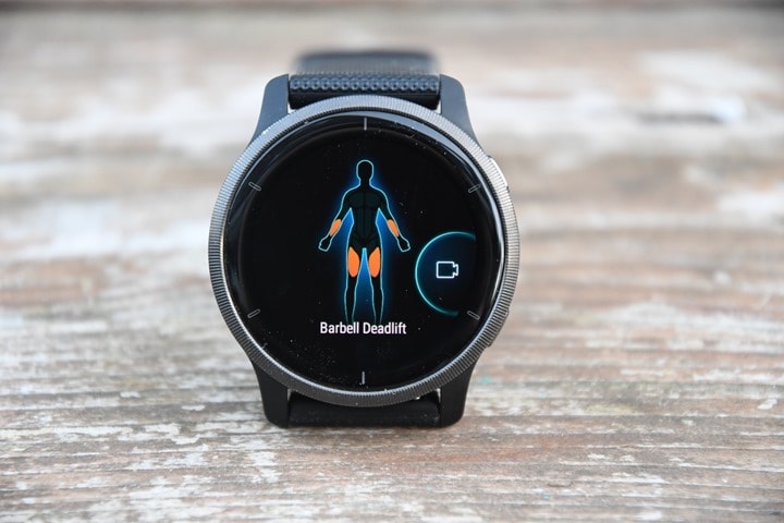 Garmin-Venu-2-Muscle-Map-Detail