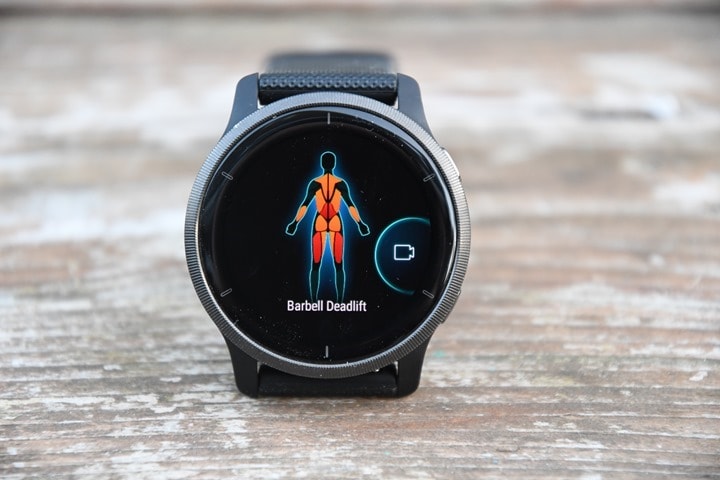 Garmin-Venu2-Muscle-Map