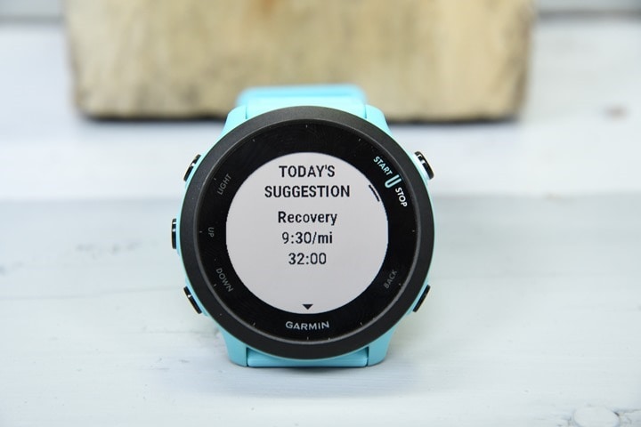 Garmin Forerunner 55 review: Well-rounded and cheap