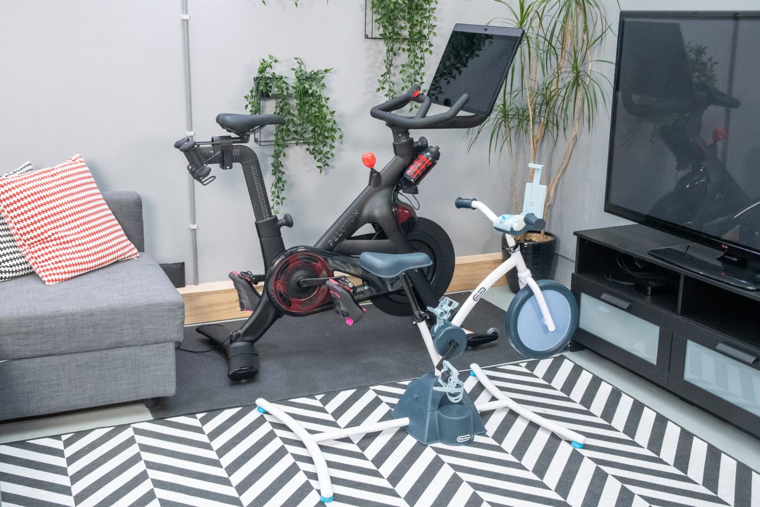 pelican exercise bike