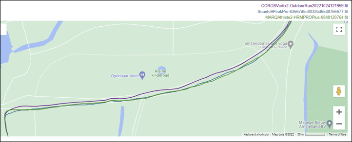 ForestRunmeander5